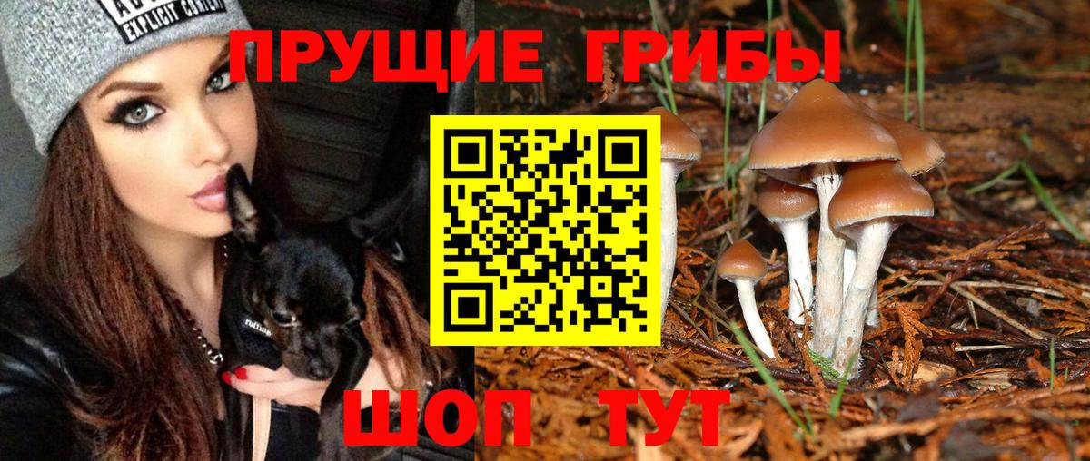 Меф кристаллы  Альфа ПВП СК   ГАШ  Cocaine  Лсд 25  Вход с VPN  Канабис  Славгород  ГАШИШ 