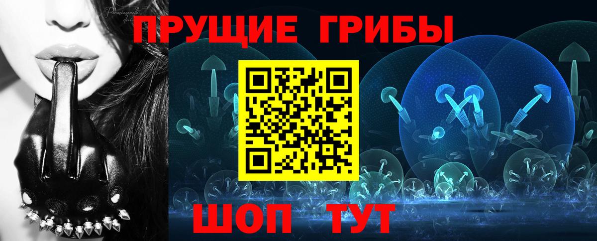 ГАШ Славгород